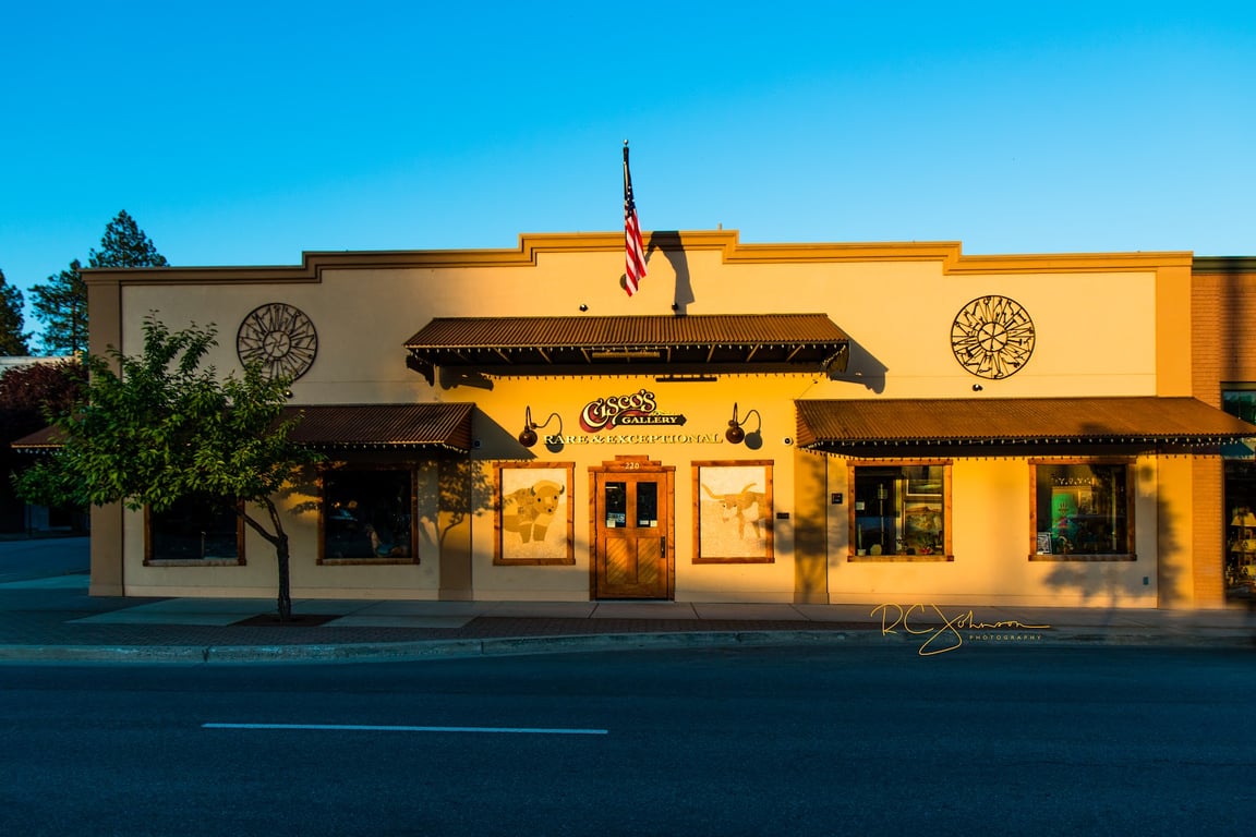 Cisco’s Gallery