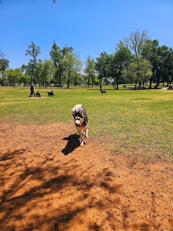 Fred Quinn Happy Tails Dog Park
