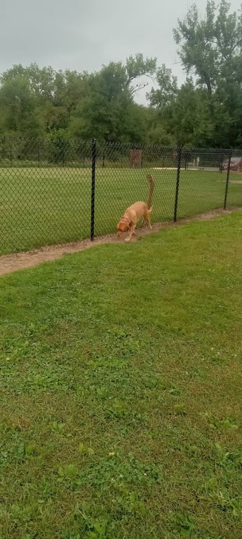 Dakota Woods Dog Park