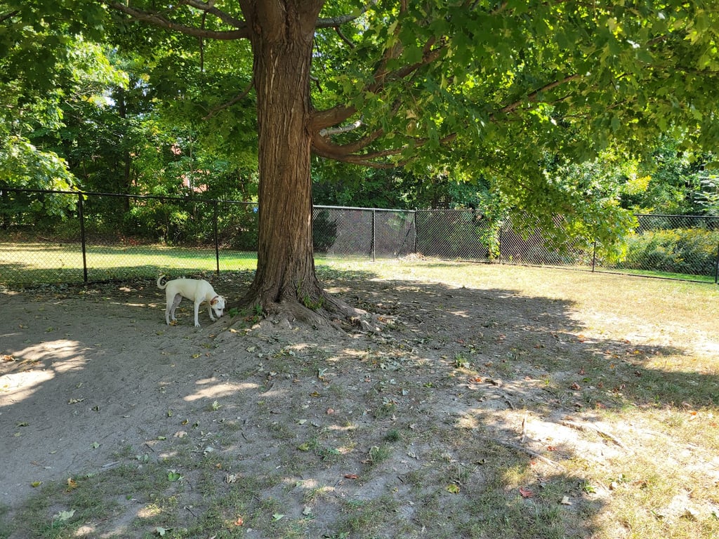 Saco Dog Park