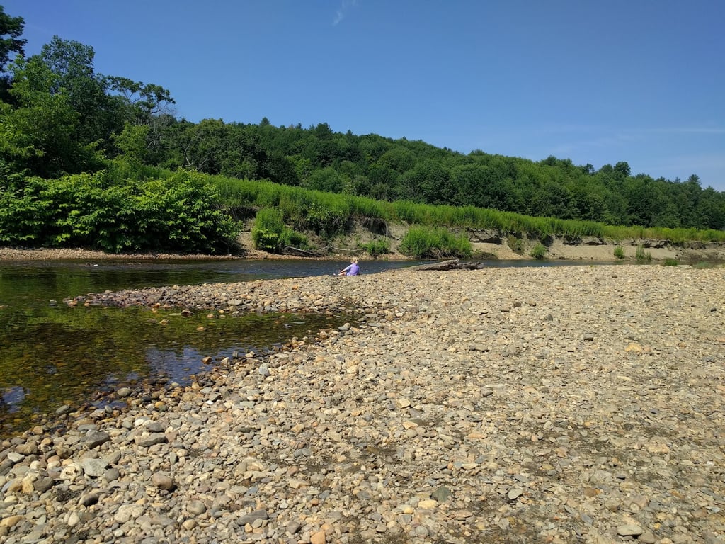 Dog River Field