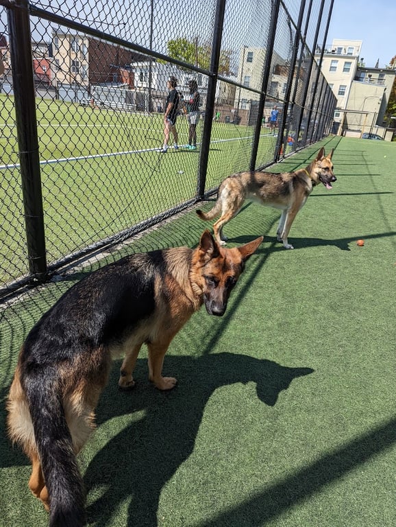 Bundy Dog Park