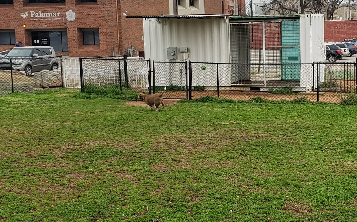 Midtown Mutts Dog Park