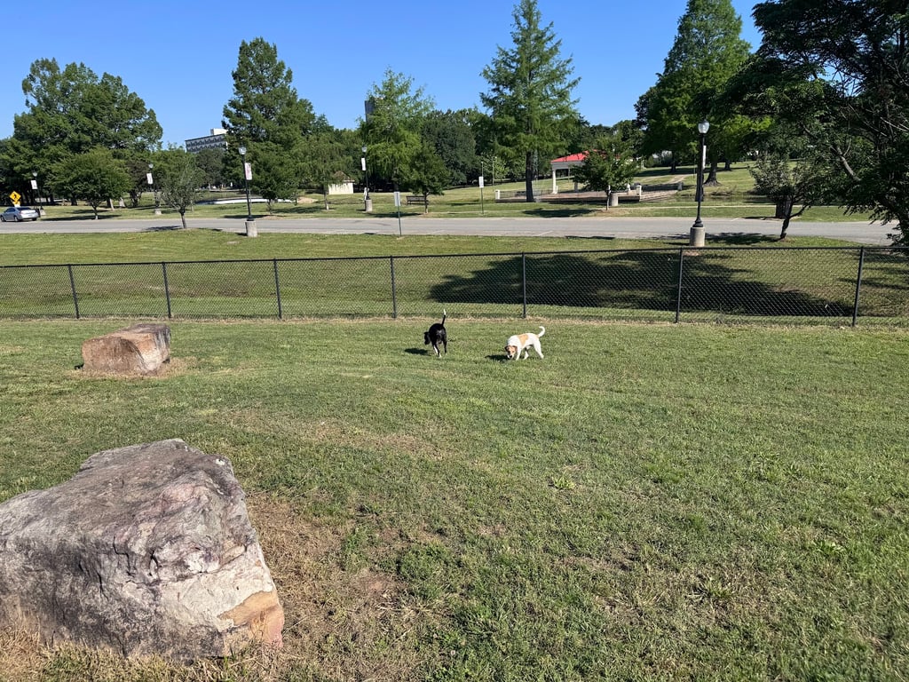 MacArthur Dog Park and Recreation