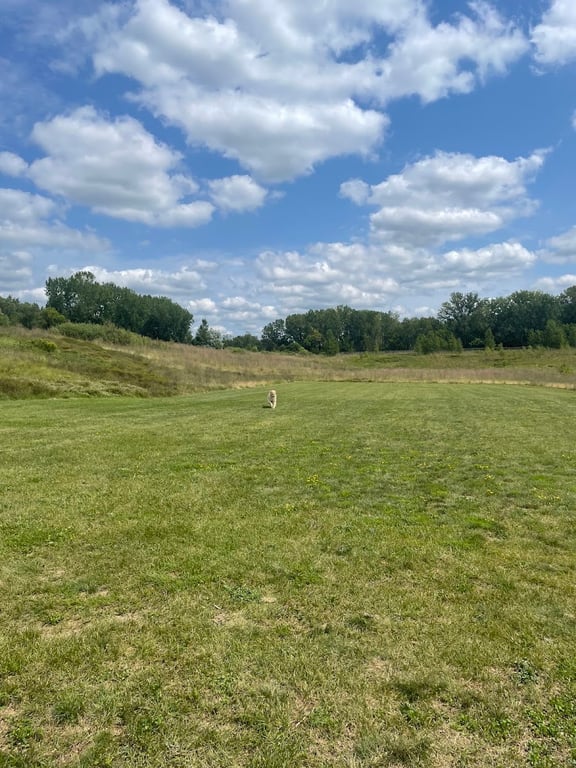 Lake Elmo’s Pup Park