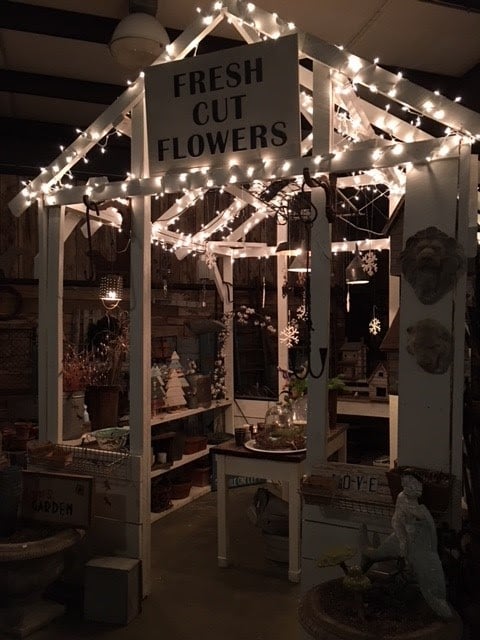 Virginia Found Goods