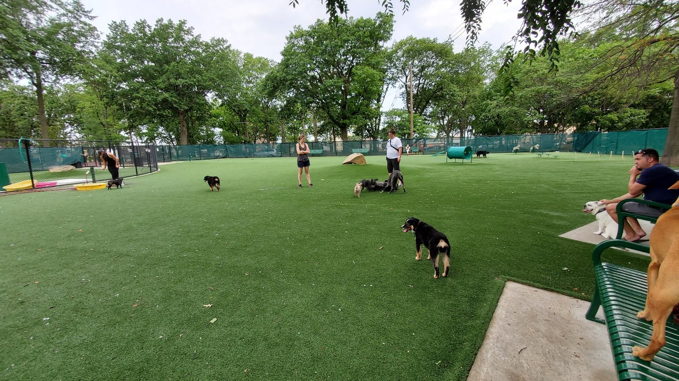 North Hudson County Park – Dog Park🐕