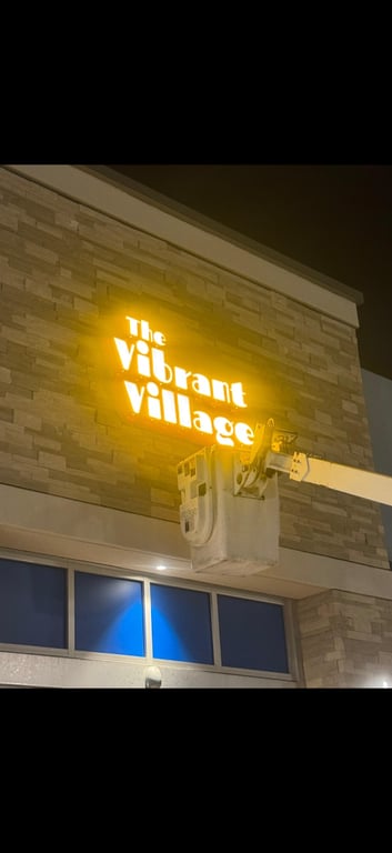 The Vibrant Village