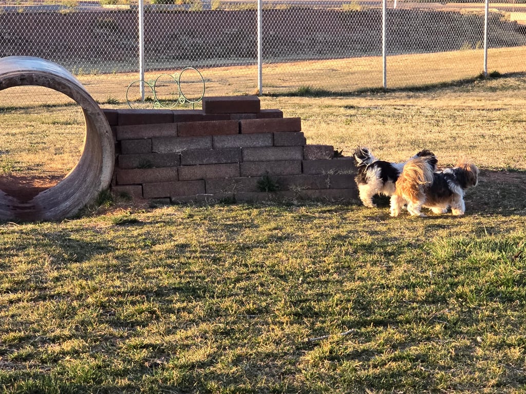 Winslow Bark Park