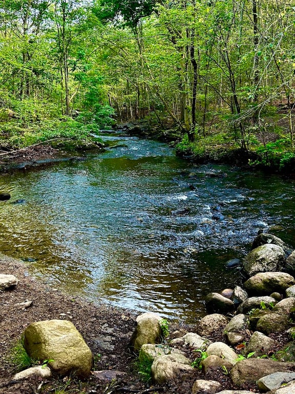 Lake Mohegan Recreational Area