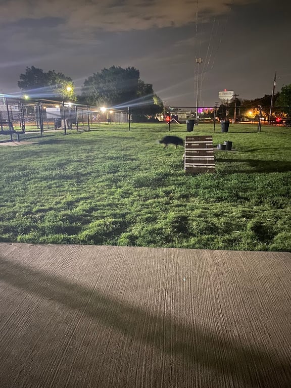 Redding Trail Dog Park