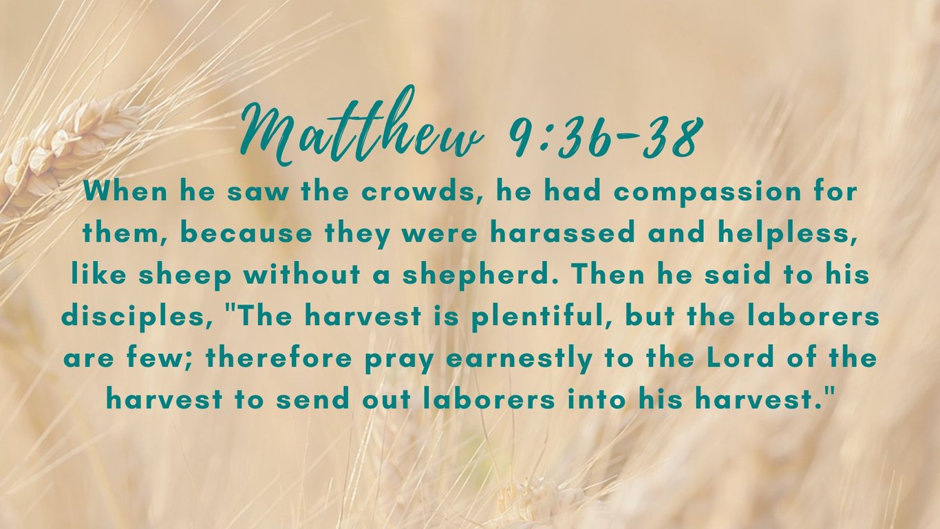 Harvest Bible Church