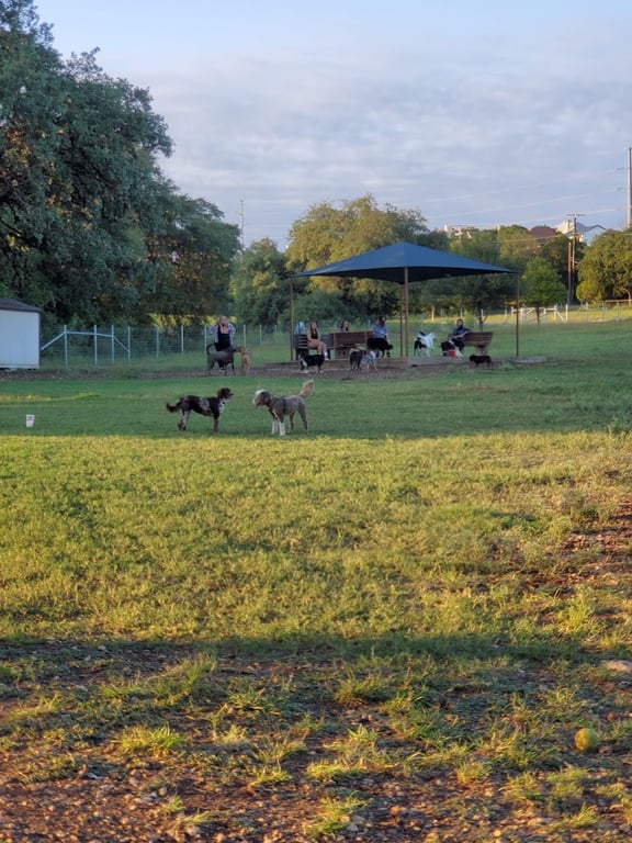 Puppy Playland Dog Park