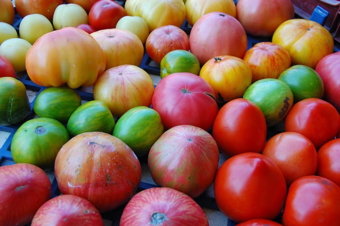 Victory Garden Initiative
