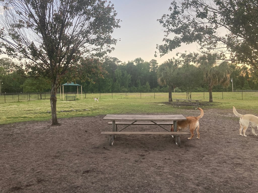 Conway Dog Park