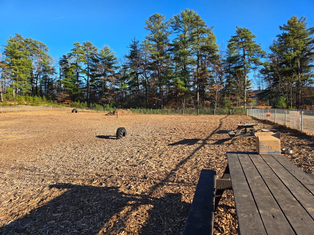 Ossipee Dog Park