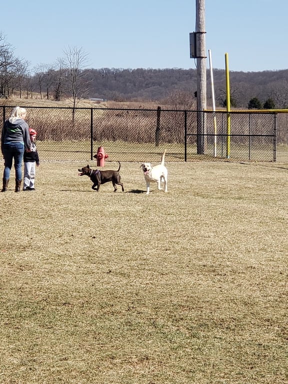 Hancock County Dog Park