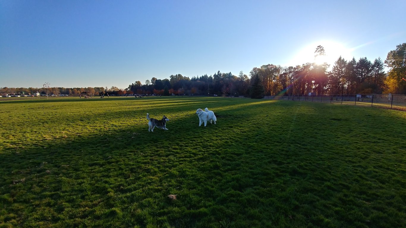 Keizer Rapids Dog Park