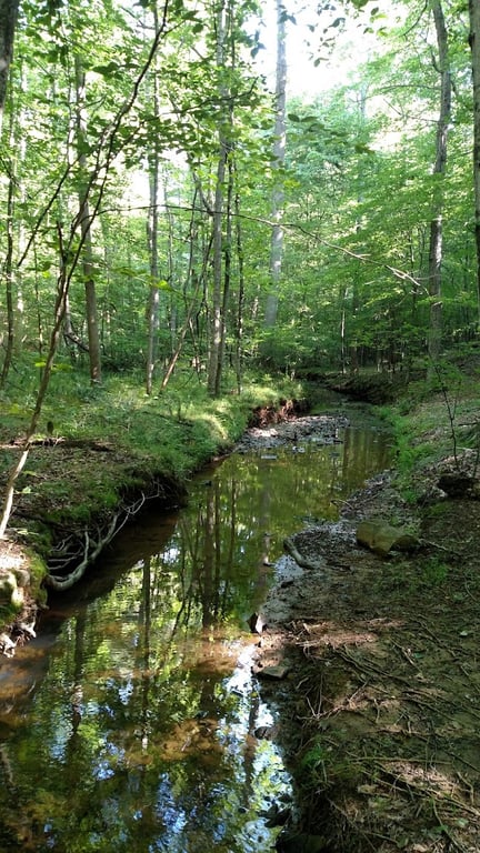 Johnston Mill Nature Preserve