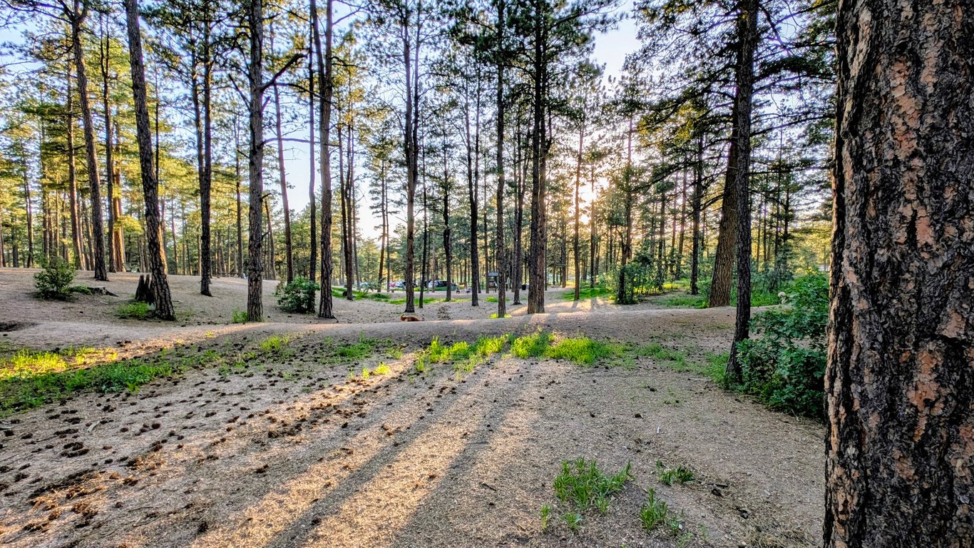 Fox Run Dog Park