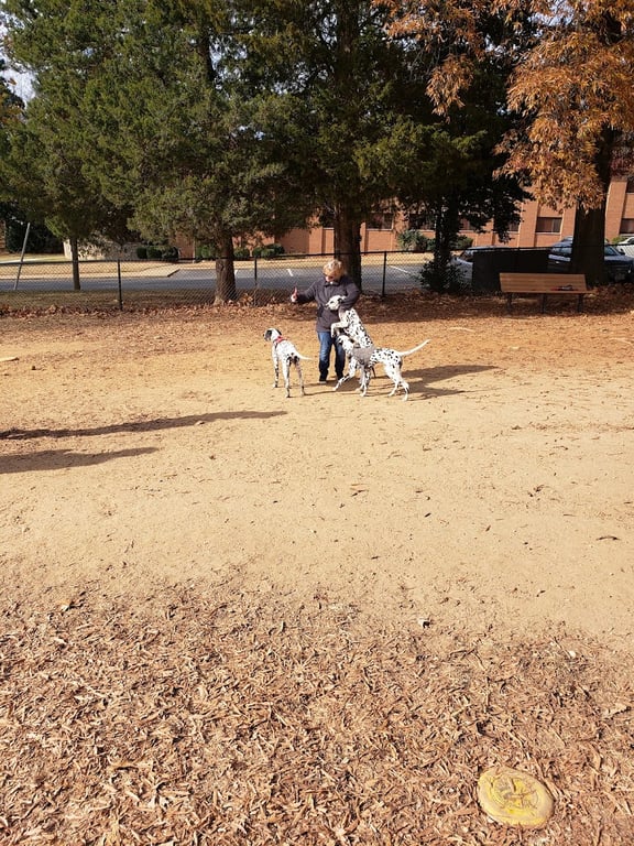 Phideaux Dog Park