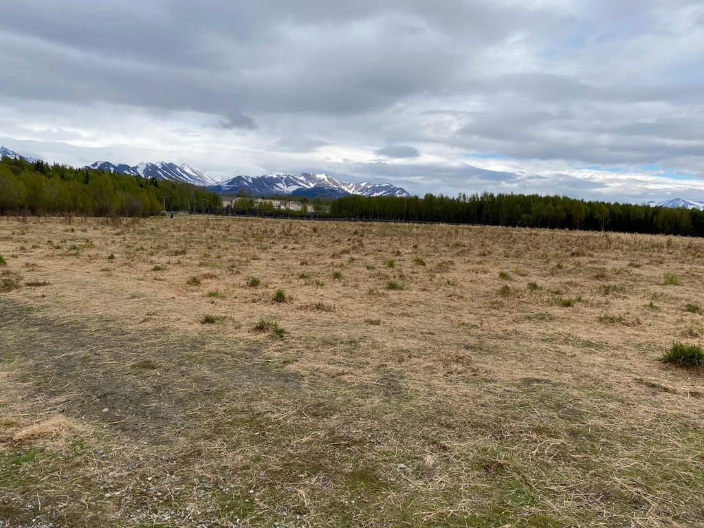 South Anchorage Dog Park