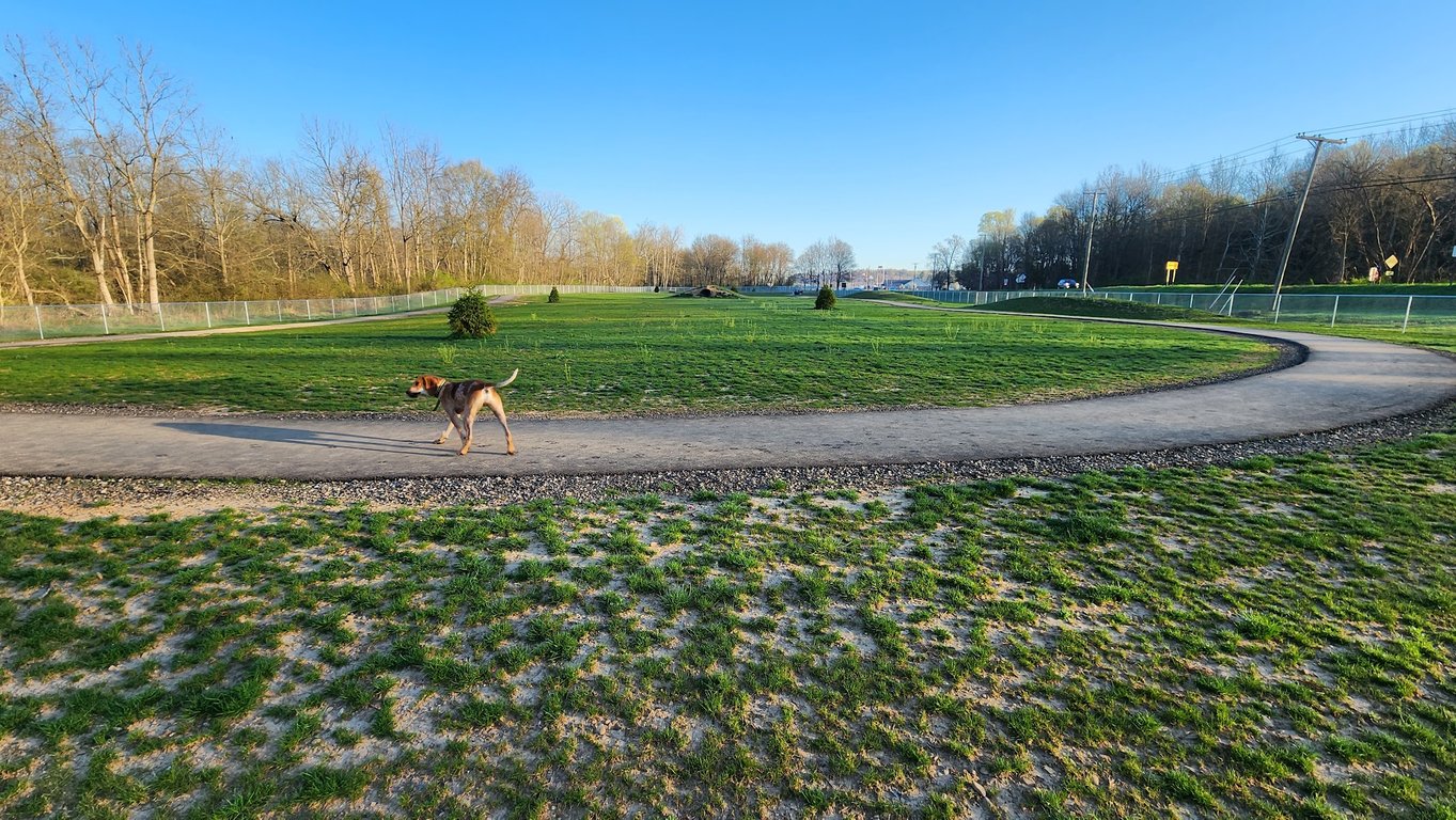 Bellville Dog Park Finnigans Run