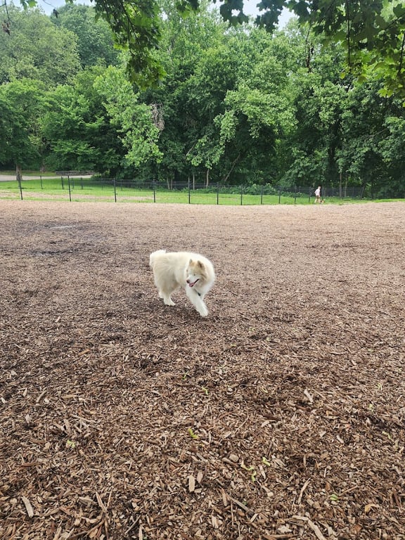 Highland Park Off Leash Exercise Area