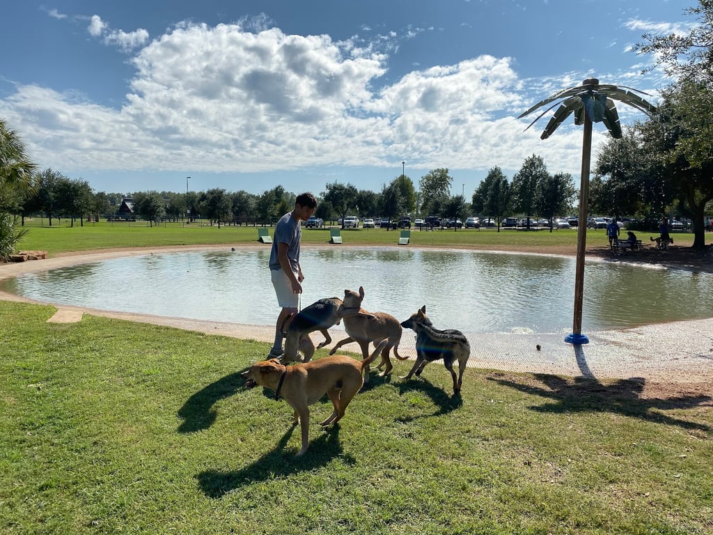 Pawm Springs Dog Park