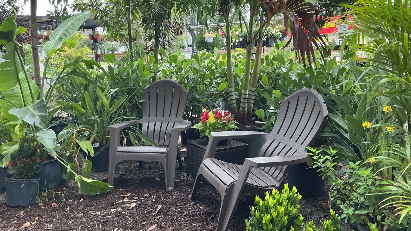 Lucid Beans Coffee – SODO