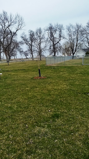 Missouri Valley Dog Park
