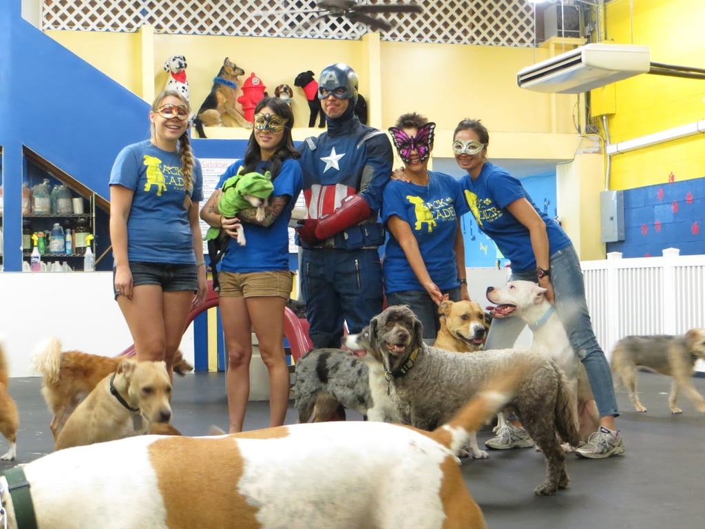 Ohana Doggie Day Care & Spa