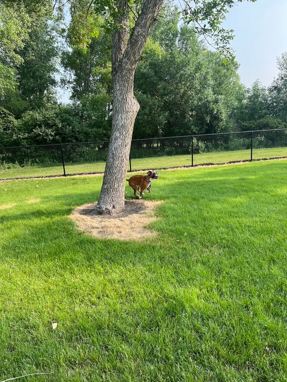 Brookings Dog Park