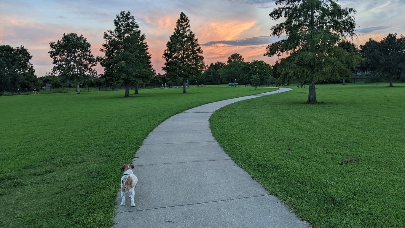 Dog Park at Burbank Park