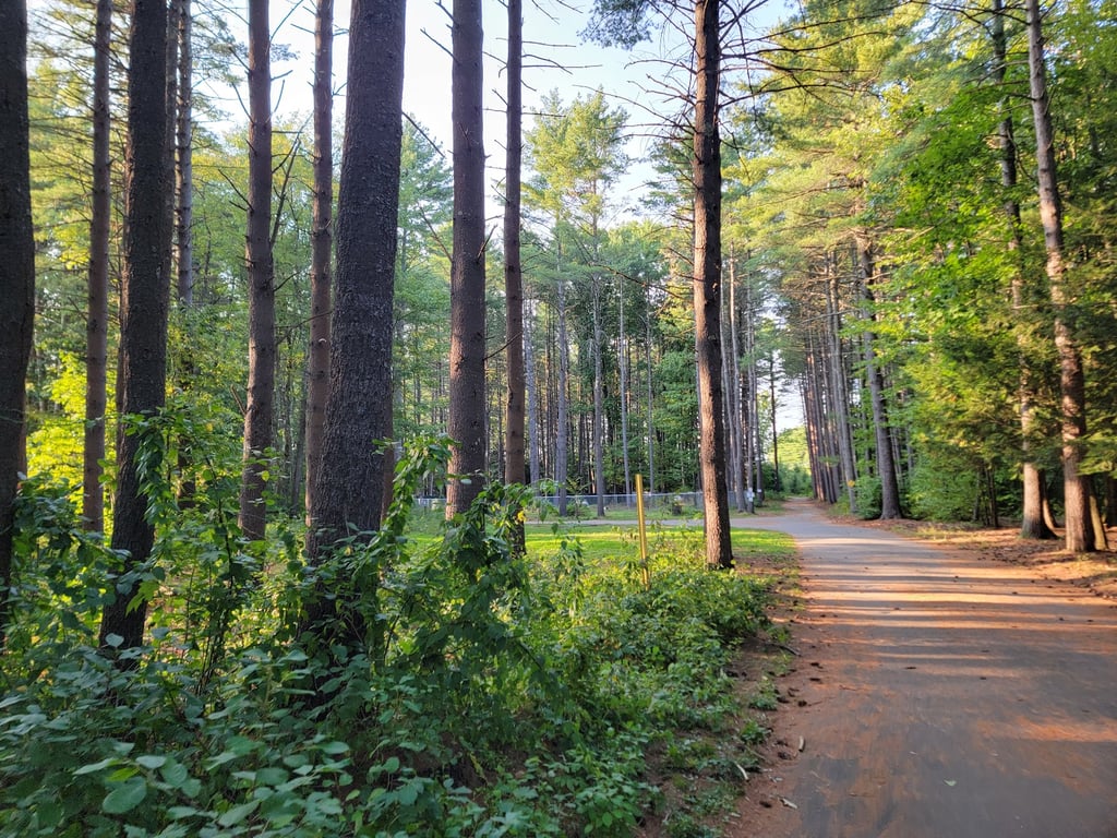 Keene Dog Park