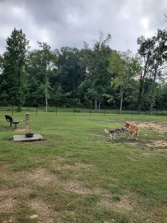 Moody Dog Park