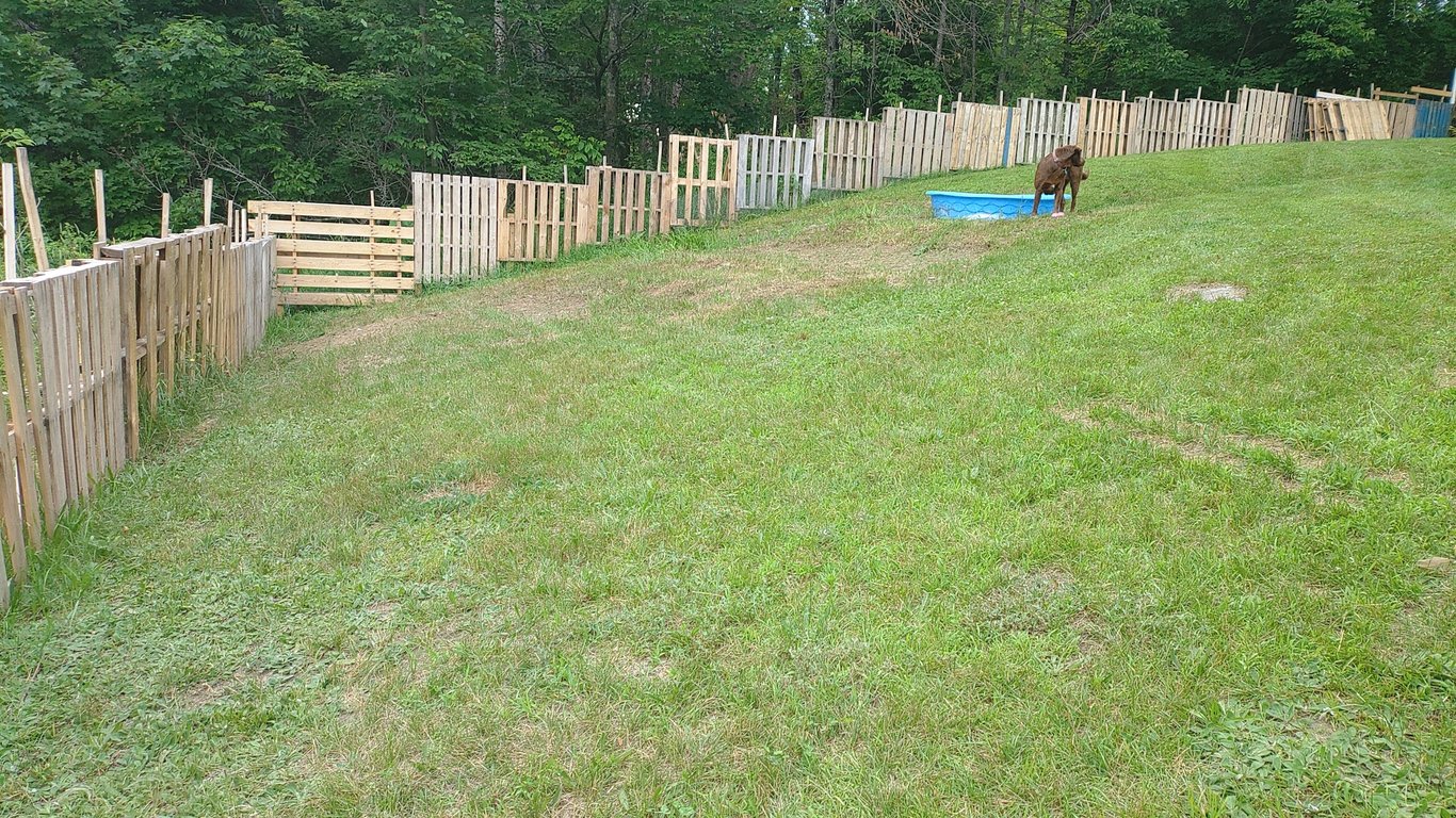 Summer’s Sniff Spot