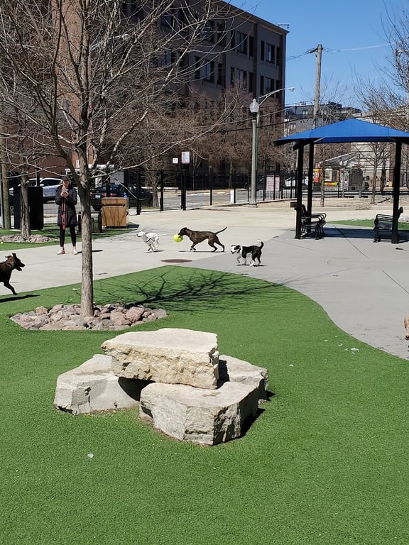 The West Loop 569 Dog Friendly Area
