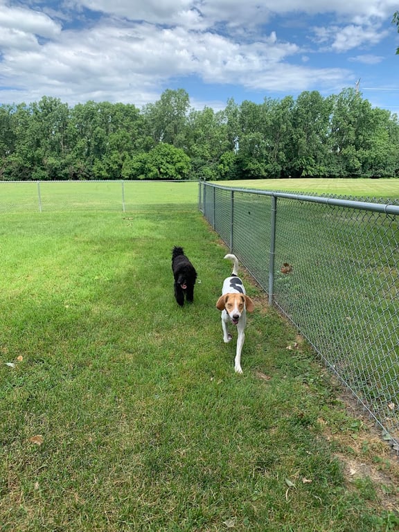 Happy Tails Dog Park – Summit