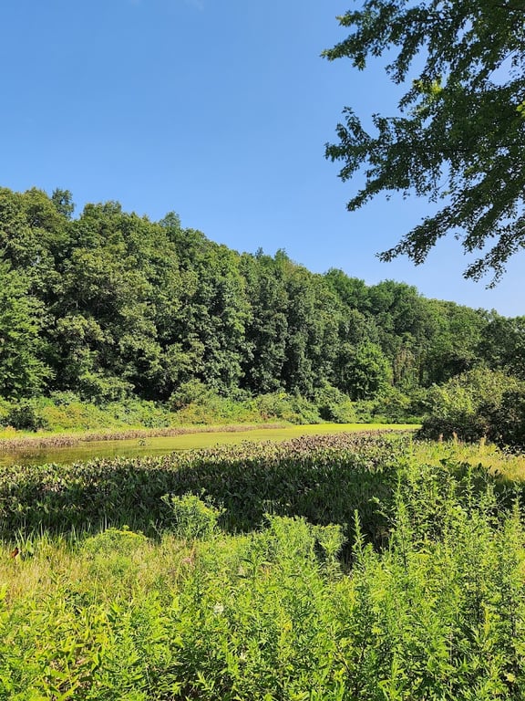 Nod Brook Wildlife Management Area