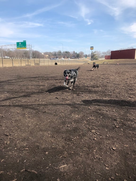 Windsor Heights Dog Park