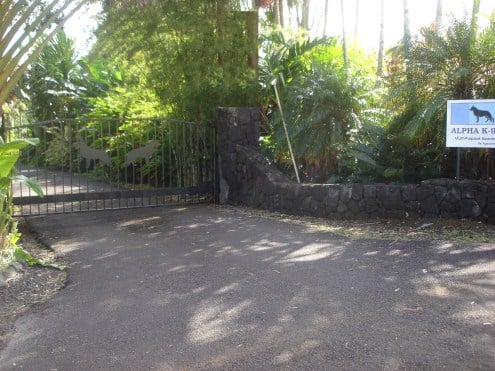 Alpha K-9 Kennels