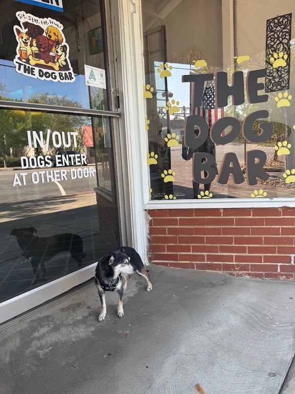 The Dog Bar