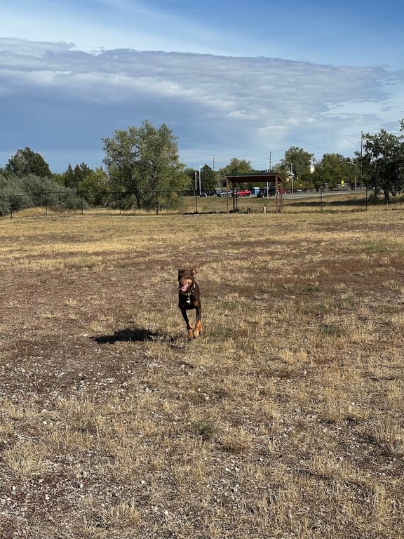 O-SO Fun Dog Park