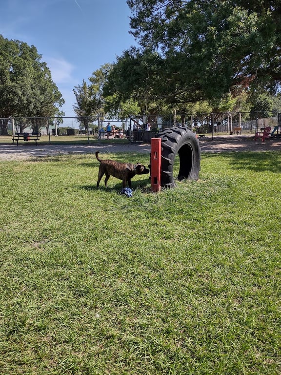 Land O’ Lakes Recreation Complex :Dog Park