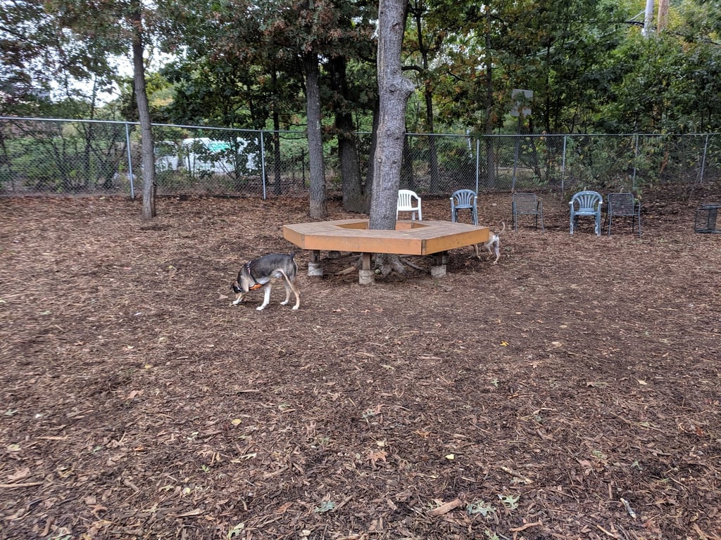 Maynard Dog Park