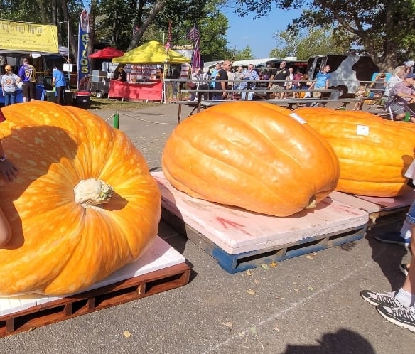 Nekoosa Giant Pumpkin Fest