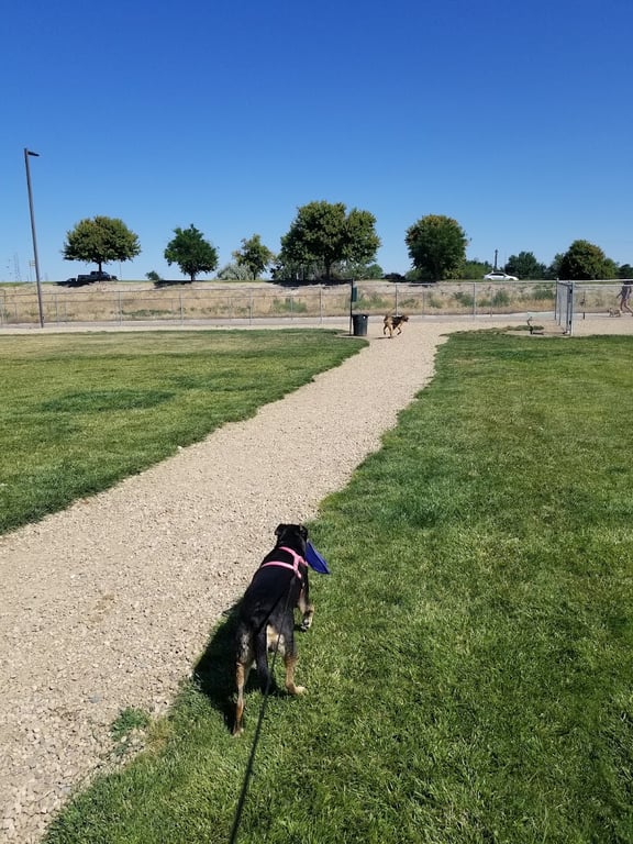 Centennial Dog Park