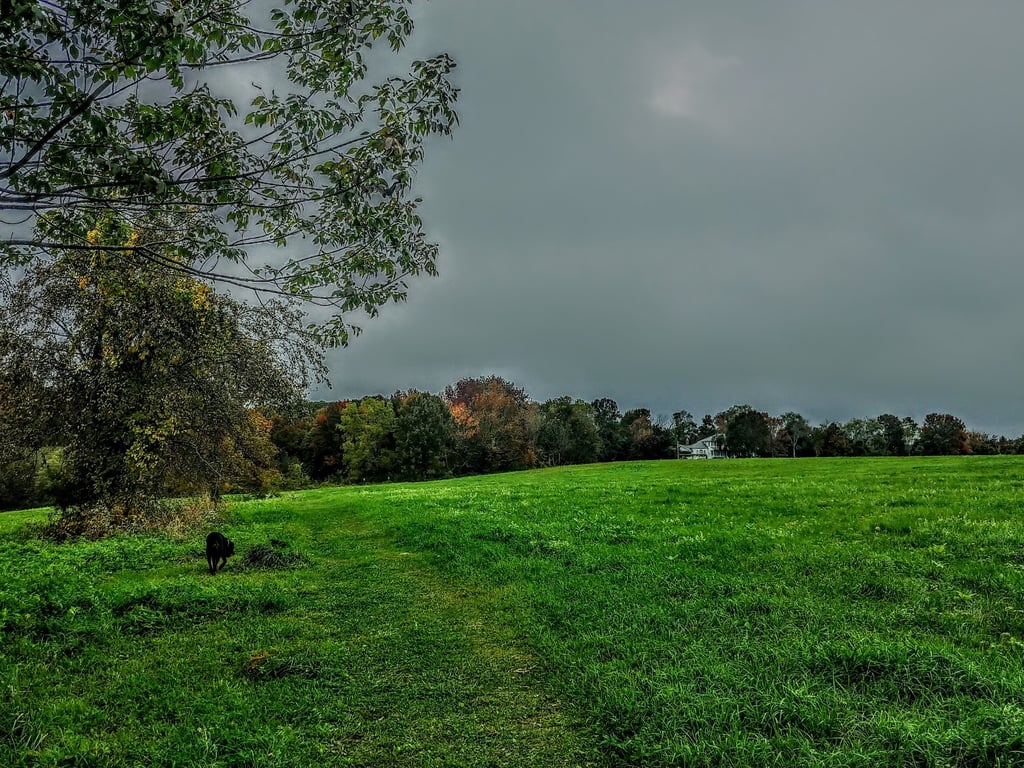 Lawton Farm