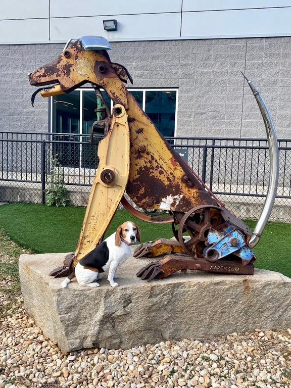 Hartsfield-Jackson Dog Park